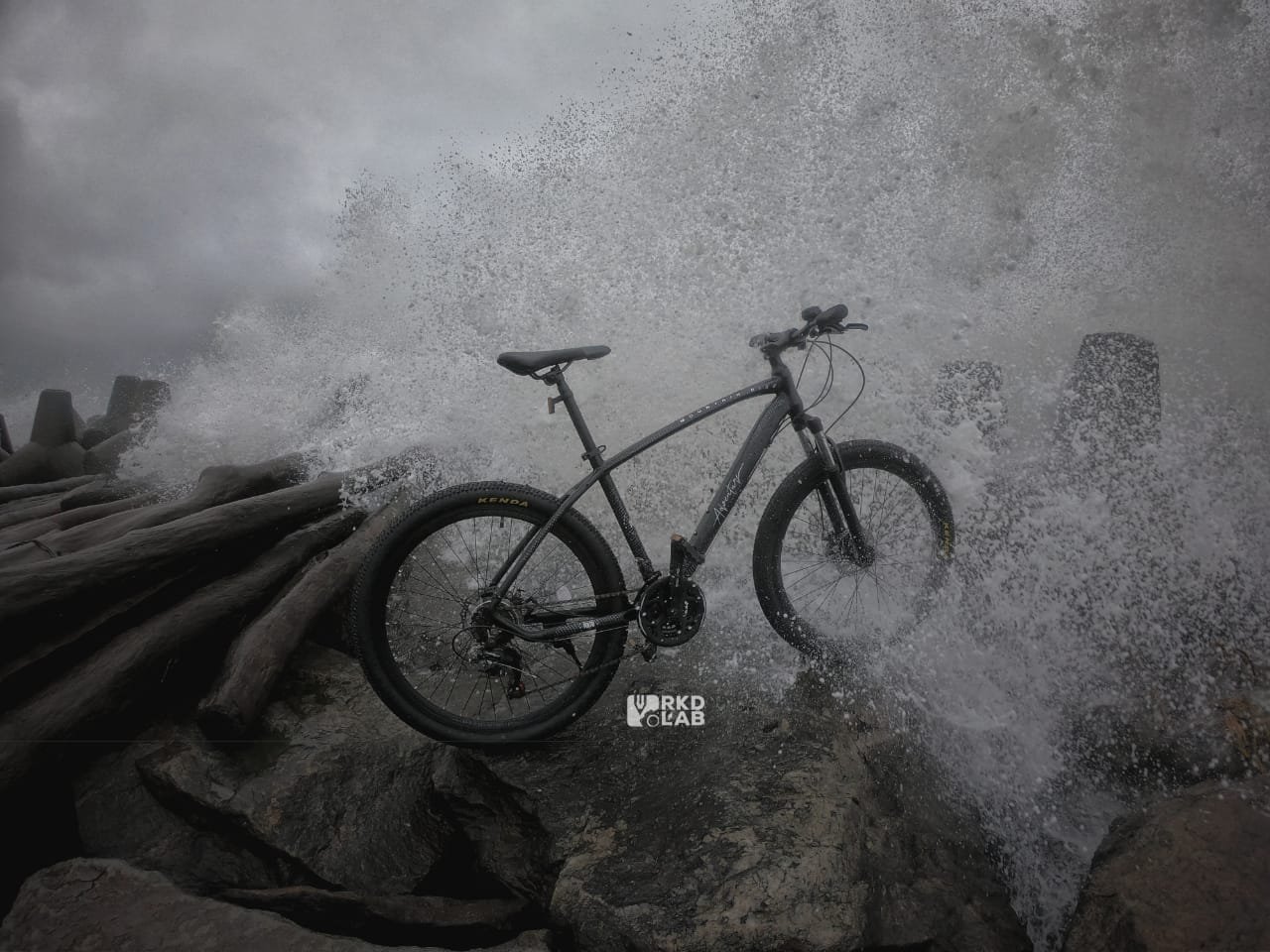 POLPO Electric Bike